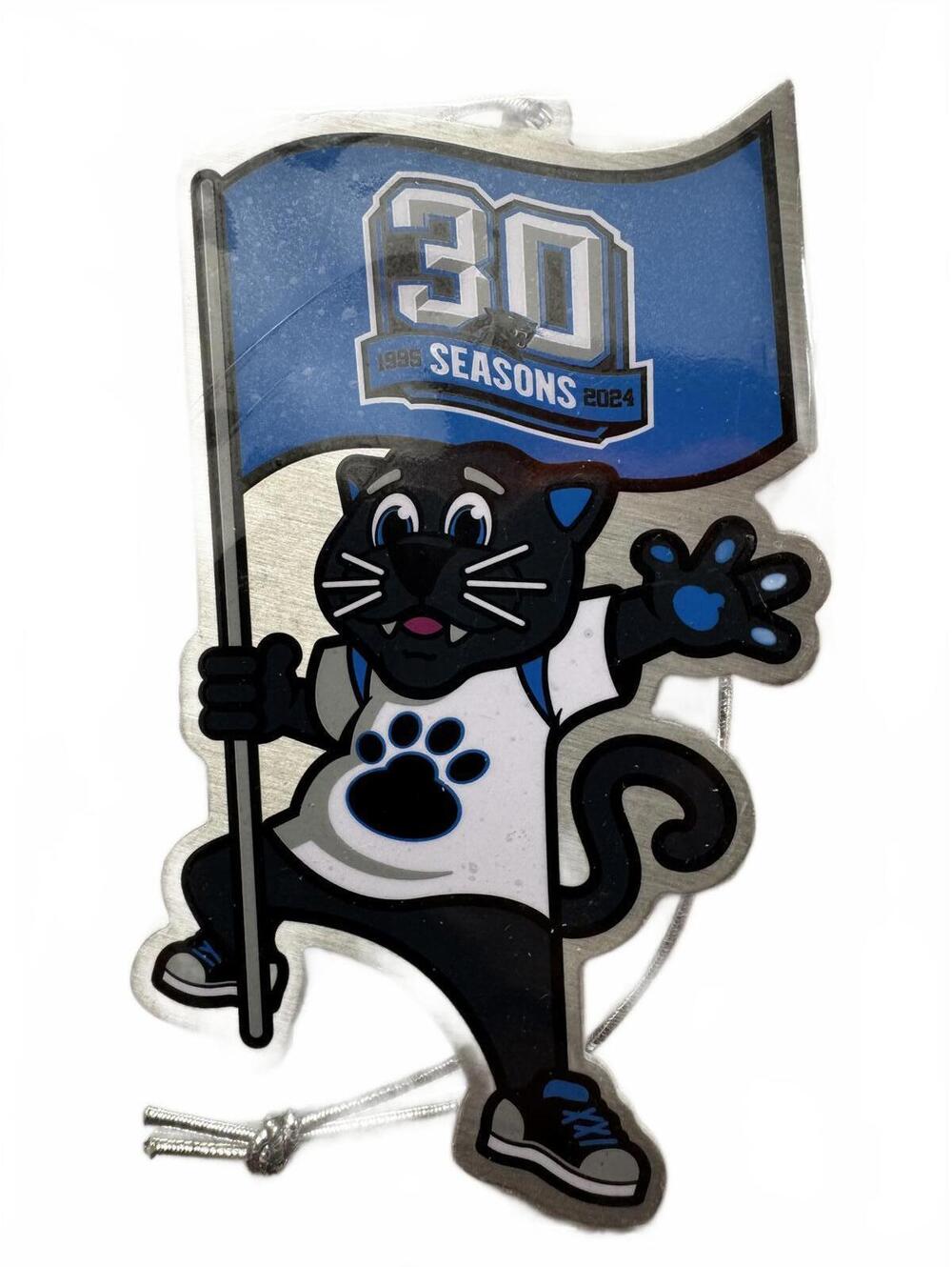 Charlotte Panthers item